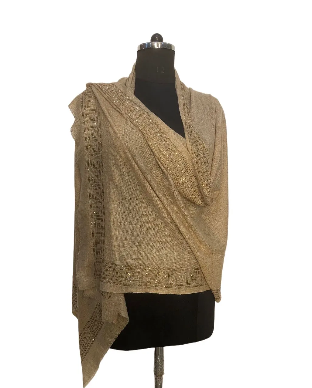 AAMANI - Crystal Pashmina Shawl
