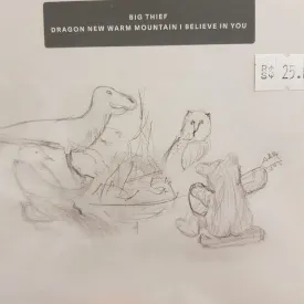 BIG THIEF - DRAGON NEW WARM MOUNTAIN I BELIEVE IN YOU CD