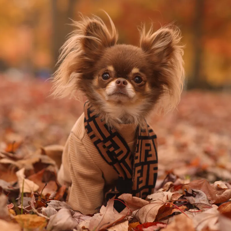 Soft Turtleneck - Beige